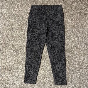 Evolution and Creation Women’s Large Charcoal Leopard Leggings